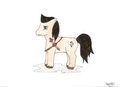 [Midwestria2012] Conan The Equestrian by Animinas