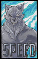 Badge for Speed