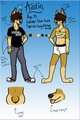 Austin Reference Sheet by DreamsYouReplaced