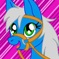  Commish--Tornado Hugger Avatar Bitless 3/4