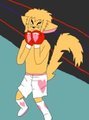 boxing kitten