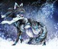 Commission for Yuki-The-Fox