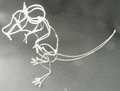 Small wire rat