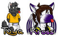 After-AC2013 Badge Orders