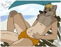 Blake otter, Beach day by Fangz