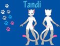 Adopted Fursona ~ Tandi 