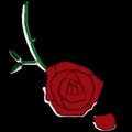 Rose 3