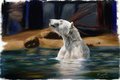 Swimming Polar Bear by gatomontes2