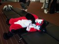 Anthrocon 2010-2 by Pepperthefox