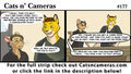 Cats n Cameras Strip #177 Think thin! + CAMEO AUCTION!