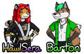 After-AC2013 Badge Orders #2