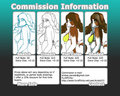 Commission Information by Krista