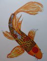 Tancho Koi Fish by GoldenJaguarKat