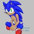 Sonic Sittin' by SonicSpirit