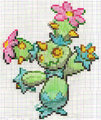BW - Cactus Pokemon -AT-