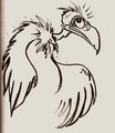 Vulture by jackal