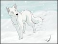 Winter Wolf -trade- by Pandog
