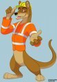 Builder Fossa 