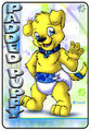 Padded Puppy Tag