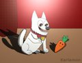 Bolt and Mr. Carrot