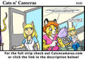 Cats n Cameras Strip #181 - Along comes a model