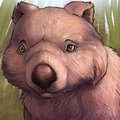 Wombat Icon 1 (vombatiformes)