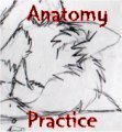 Anatomy Practice: I will not break 