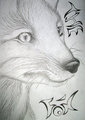 Eye of the Fox by KoruFox