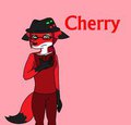 Cherry by DT23