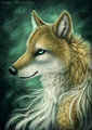 Wolf Girl by Naira