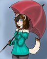 Safiir's Umbrella 