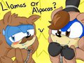 ~Llamas or Alpacas?...0u0