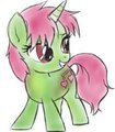 Filly Heart Notes