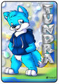 Tundra Fox II Tag