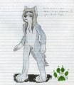 Model Sheet - Jorge the Wolfdog 
