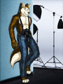 Photo Session - Commission for CSSilver