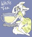white tea for sale