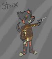 Strix Silverscale by DarkTheDoodleWolf