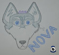 Nova husky badge by buckwildwolf