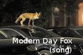 A Modern-Day Fox