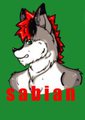 Sabian gift badge
