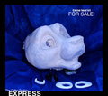 Canine Head Kit for Sale