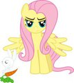 FLuttershy is not amused