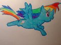 Rainbow Dash by Milu