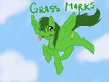 GrassMarks