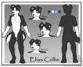 Ref Sheet Commission: Elias Collie 