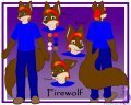 Ref Sheet Commission: Firewolf 