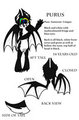 Purus! The BatBoy! Ref Sheet by DerpyDooReviews