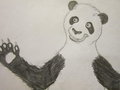 Panda Personality