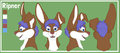 Ripner head reference sheet by Chibi-Marrow by Ripner